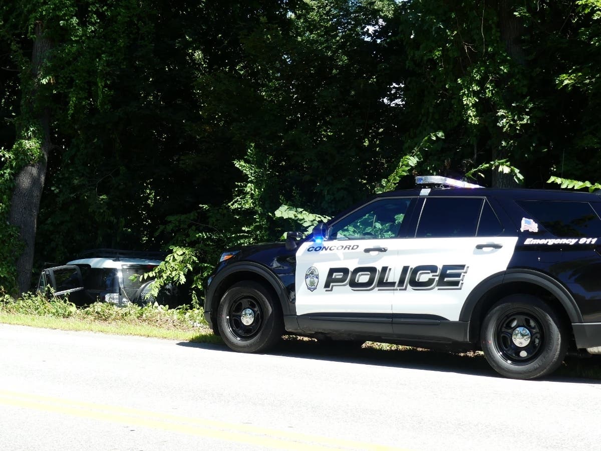 Woman Accused Of Crashing An Out-Of-State SUV In Concord, Fleeing The Scene With A Pit Bull: Video