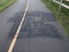 Racist and antisemitic graffiti was spray-painted on the paved path of the Merrimack River Greenway Trail as well as on signs at the entrance of the trail.
