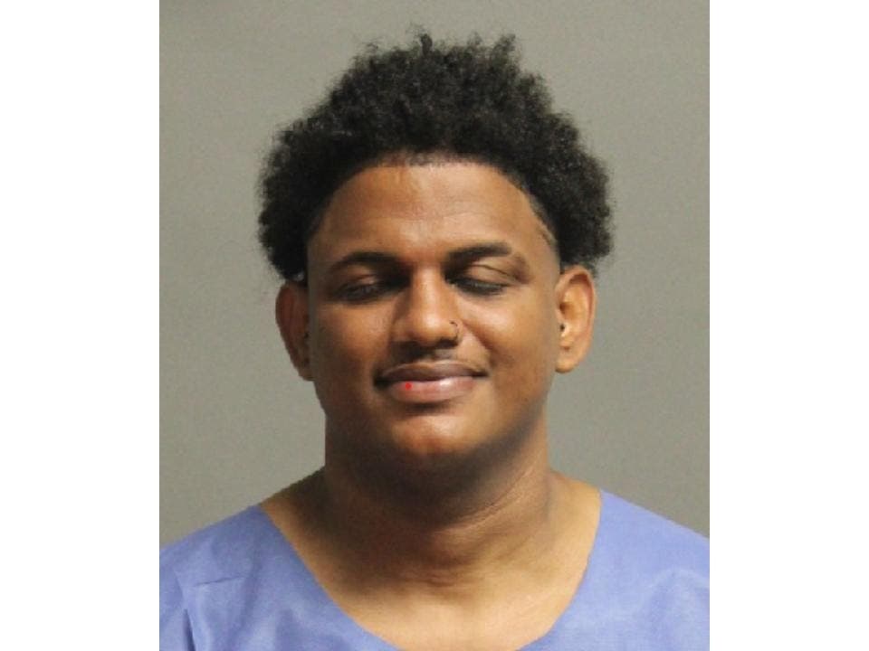 Adrian Antonio Baez-Paulino was arrested and detained, accused of torturing a Schnauzer owned by another man.