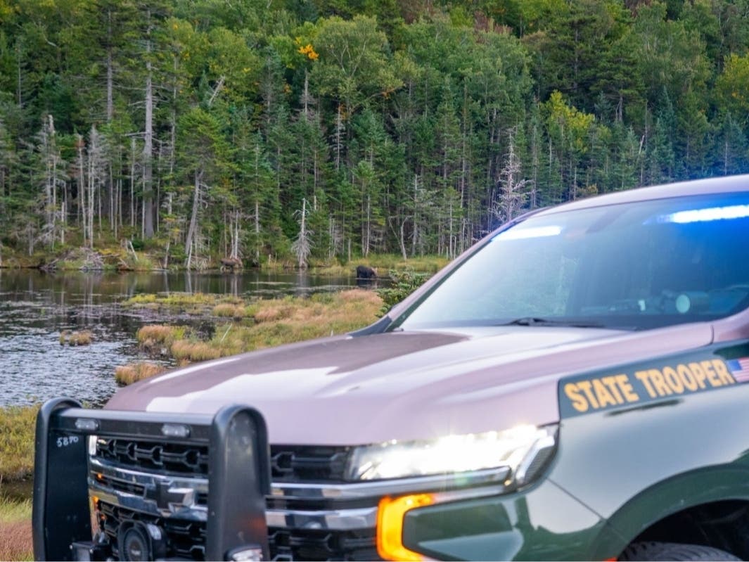 State police see all kinds of wildlife while in the field…