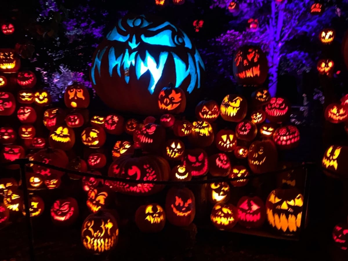 Roger Williams Zoo Pumpkins