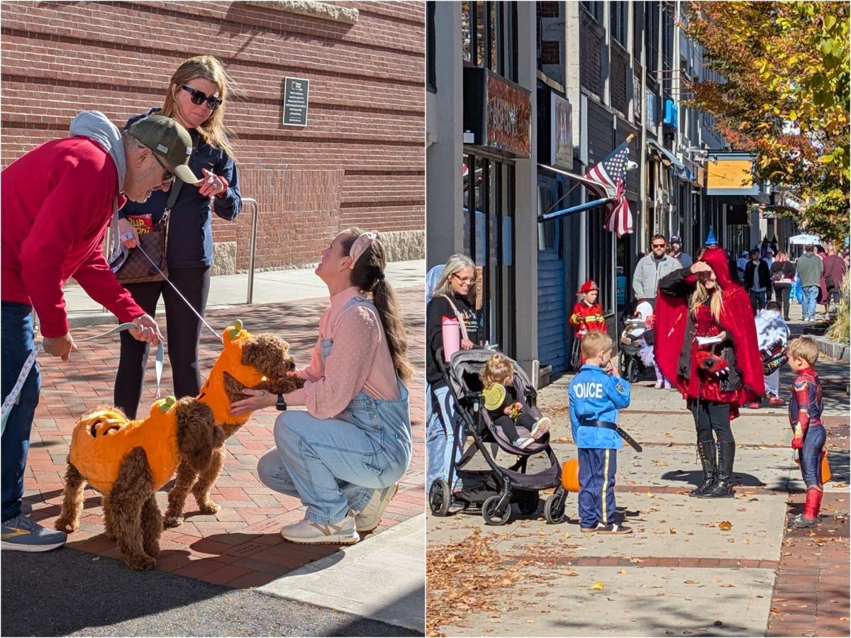 Trick-or-treating, costume contests, performances, and a puppy parade to Main Street in Nashua on Oct. 24.