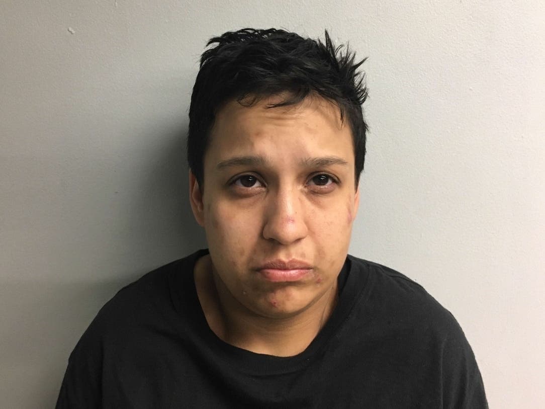 Carolina Solares-Fraga faces nearly two dozen charges after three incidents during the past two months on the Concord Heights.