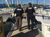 The unannounced probation searches took place in the city of San Rafael and surrounding areas within unincorporated Marin.