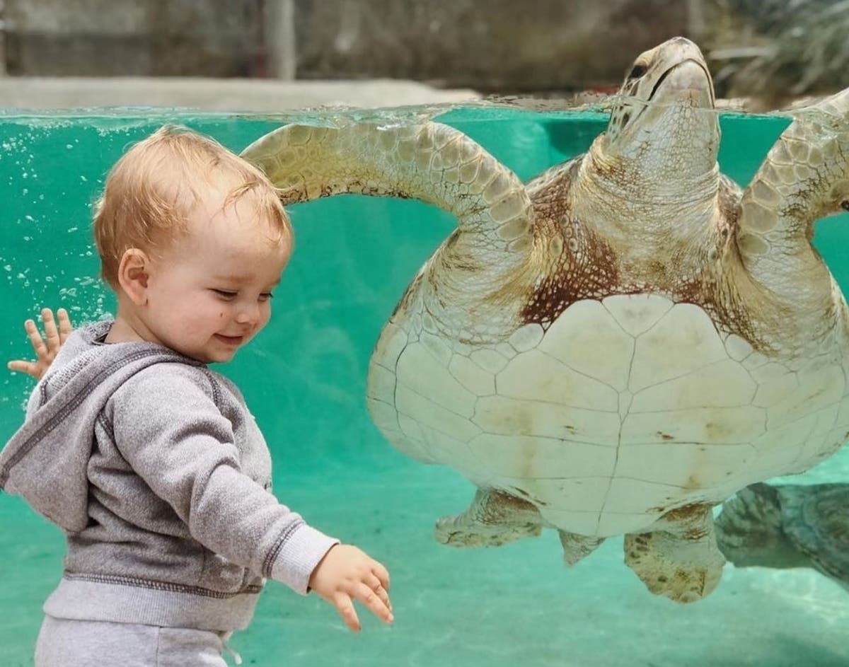 The "Kids Free in October" program returns this year with 40 museums in San Diego County offering free admission to children for the entire month.​