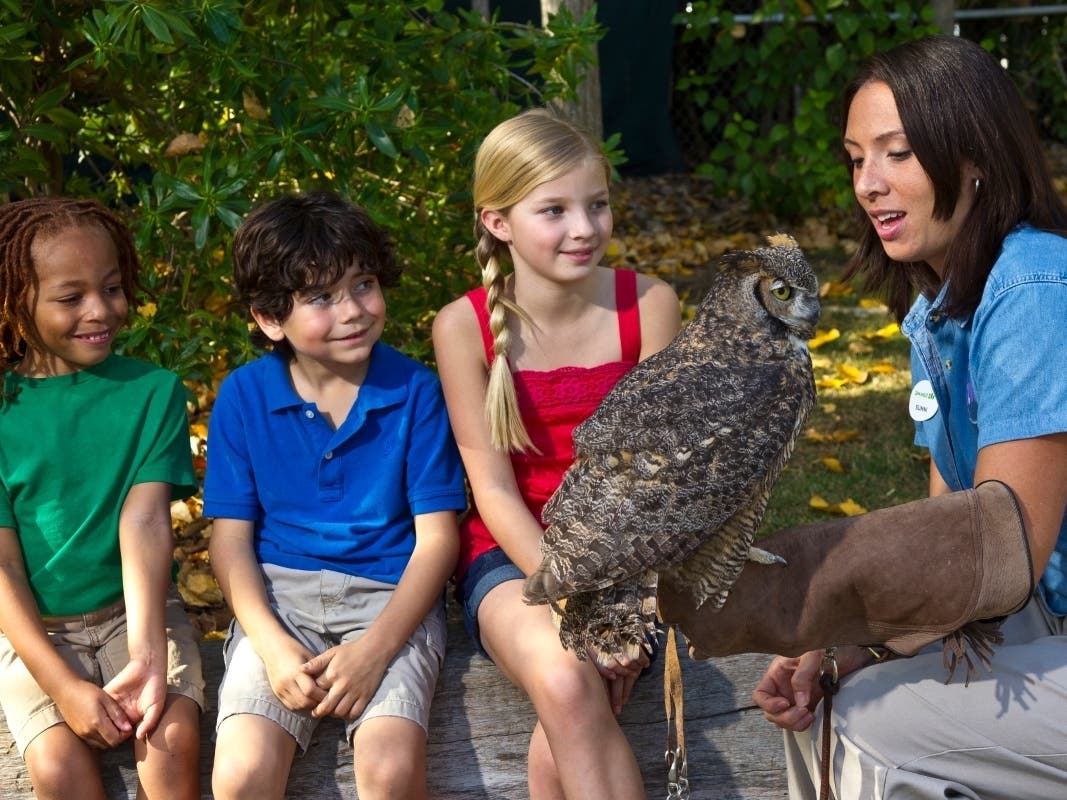 The annual "Kids Free" month, presented by Mission Fed, ​offers free admission to children ages 11 and younger, while providing special weekend activities for the whole family, including animal experiences, special entertainment and zoo keeper talks.​