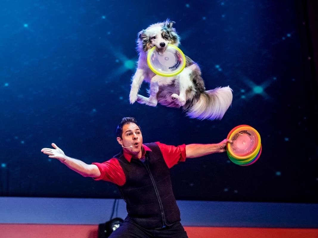 See what's slated this weekend from Saturday, Nov. 23 to Sunday, Nov. 24.