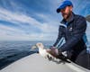 Senior animal care specialist Jonathan Dwyer returns a rescued blue-footed booby three miles off the coast of La Jolla from SeaWorld San Diego's rescue boat Second Chance.