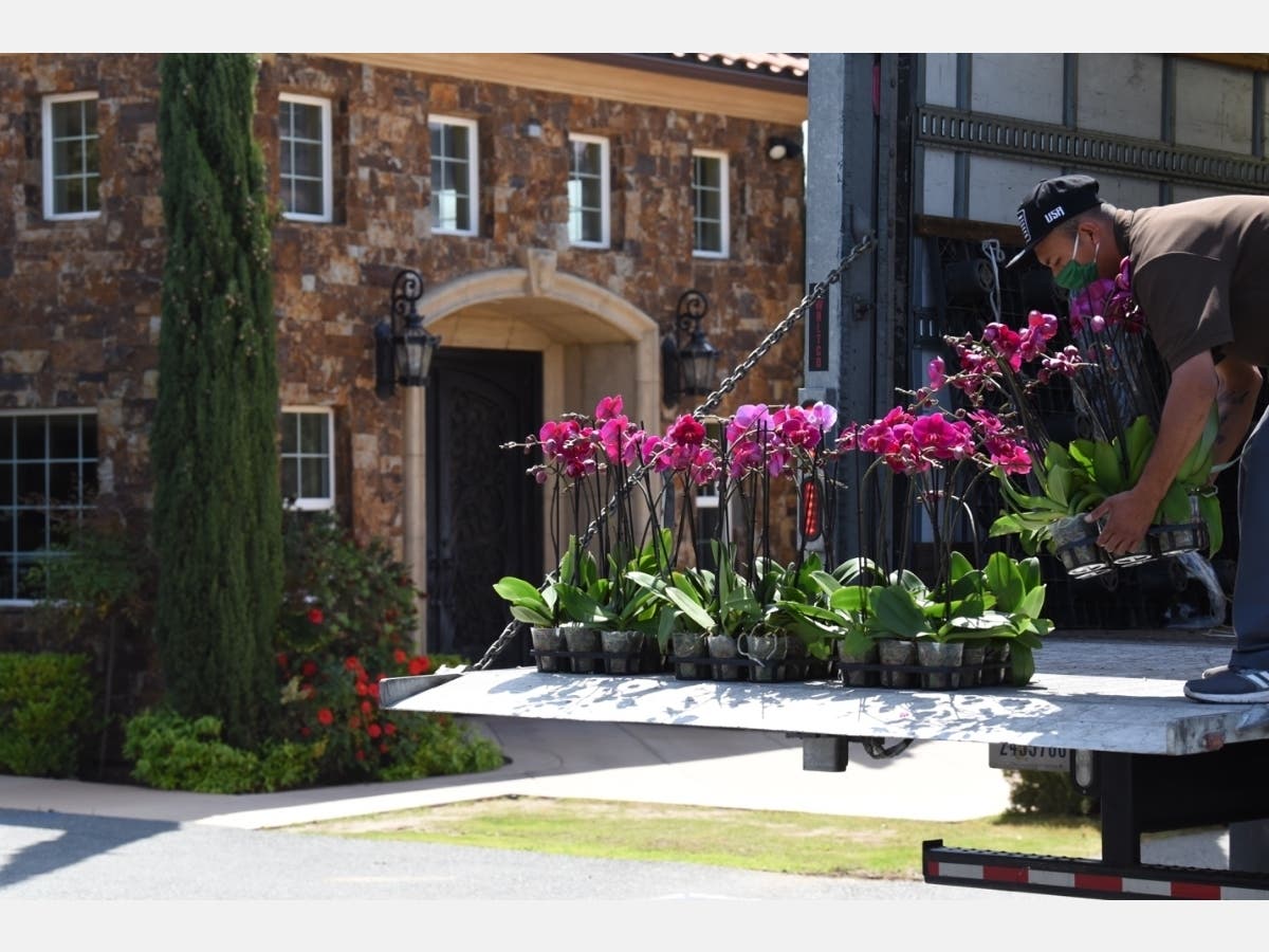 Staffers at Primary Care Associates Medical Group in Vista and Villa Monticello Assisted Living Memory Care Facility for Seniors in Escondido received more than 400 orchids and 100 hanging baskets.