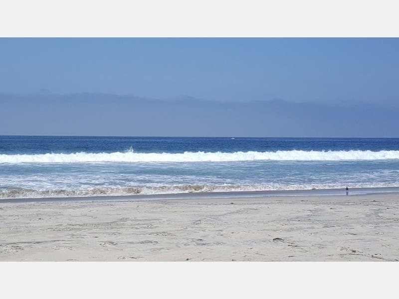 Beachgoers were allowed to walk and run on the sand, as well as swim, surf, kayak and paddleboard in the ocean. 