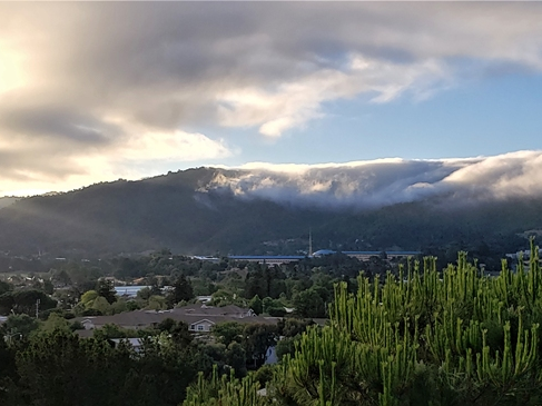 Quail Hill in San Rafael