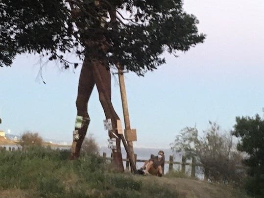 A photo of the vandalism suspect.