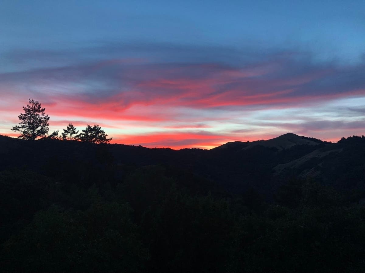 White Hill Preserve​ in Fairfax, California.