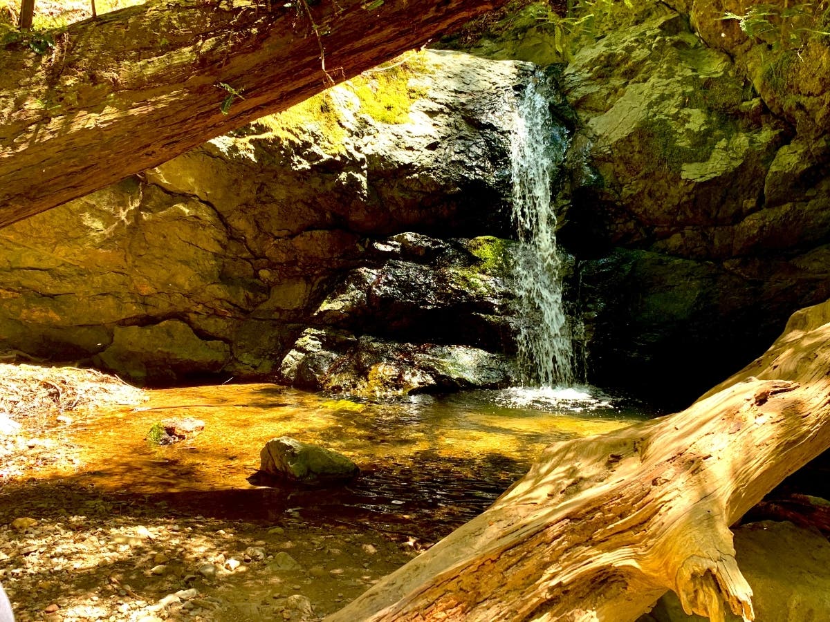 Mini waterfall​ in Mount Tamalpais State Park.