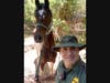 Agents found the horse, which had been missing since May.