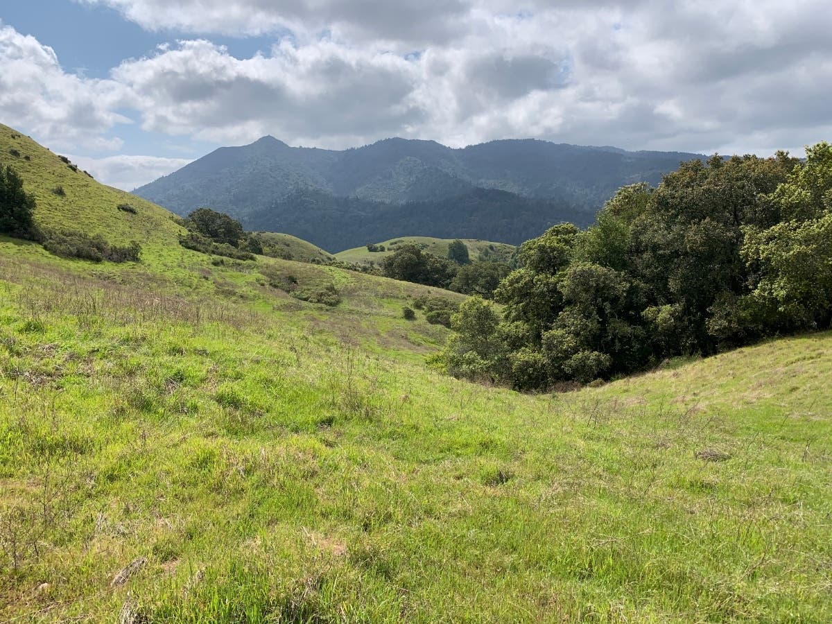 Mount Tamalpais​ in Marin County, California
