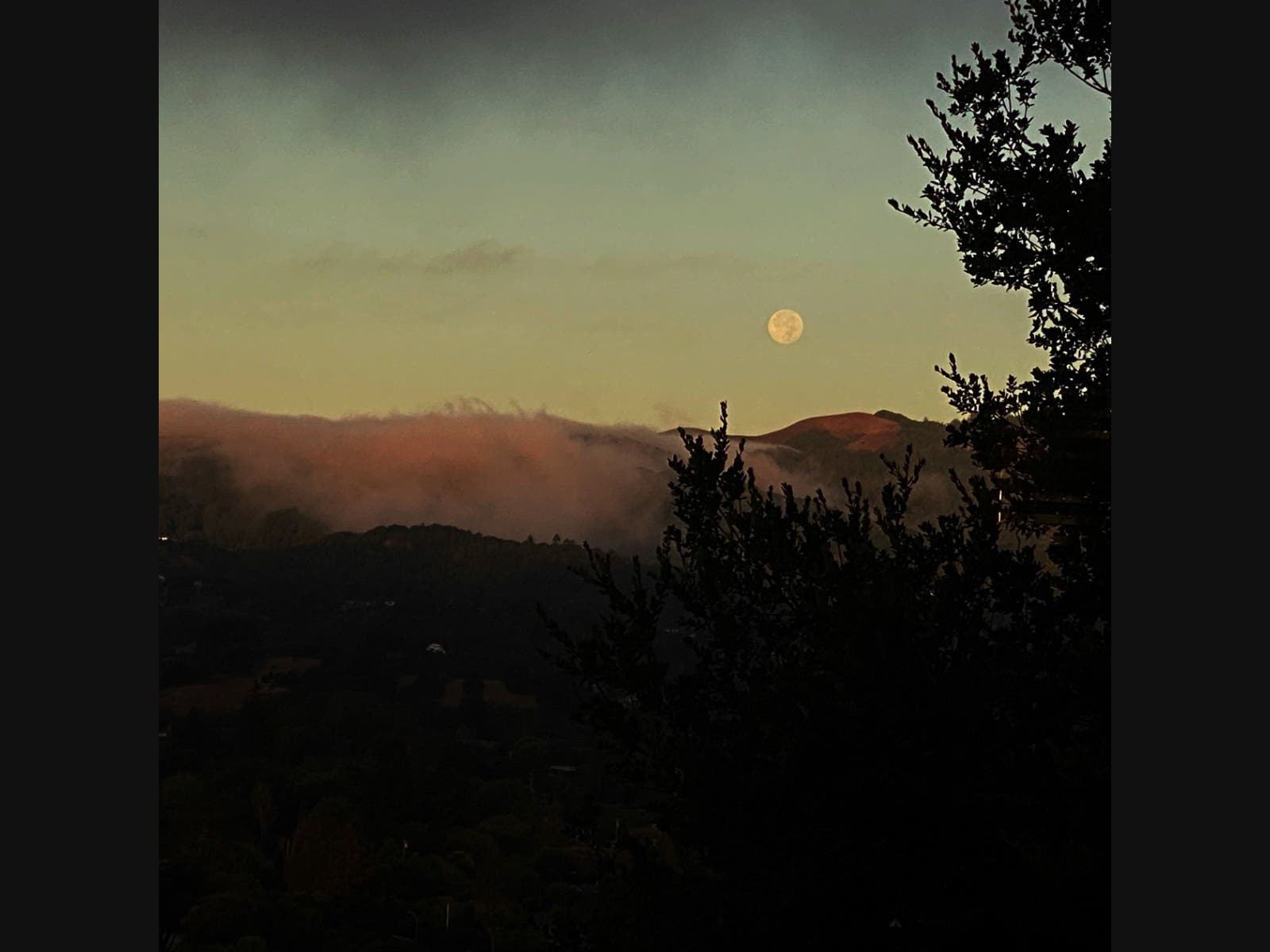 Ignacio Valley Reserve​ in Novato, California