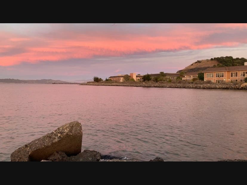 San Francisco Bay Trail near the Richmond-San Rafael Bridge​
