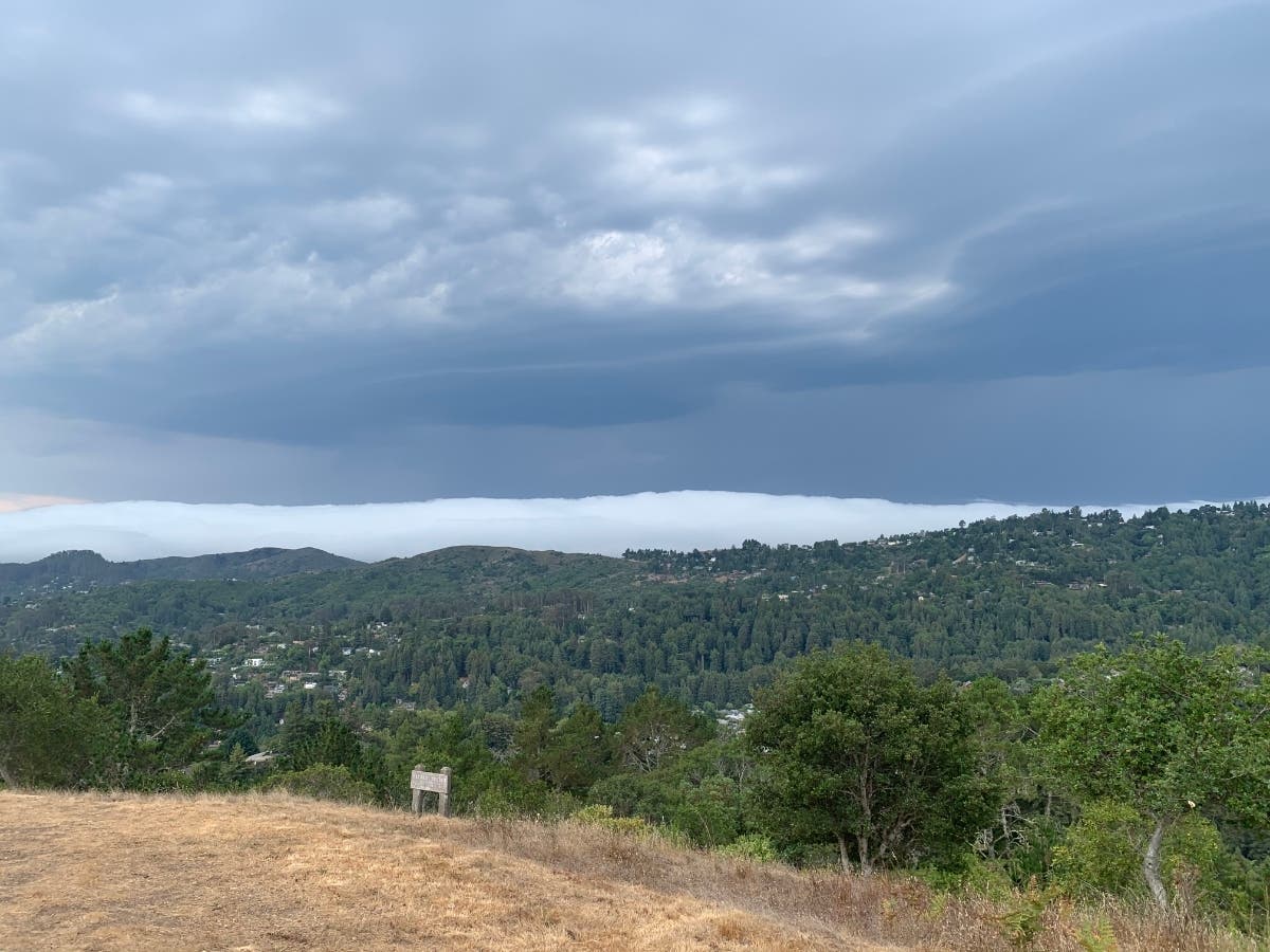 Mill Valley, California