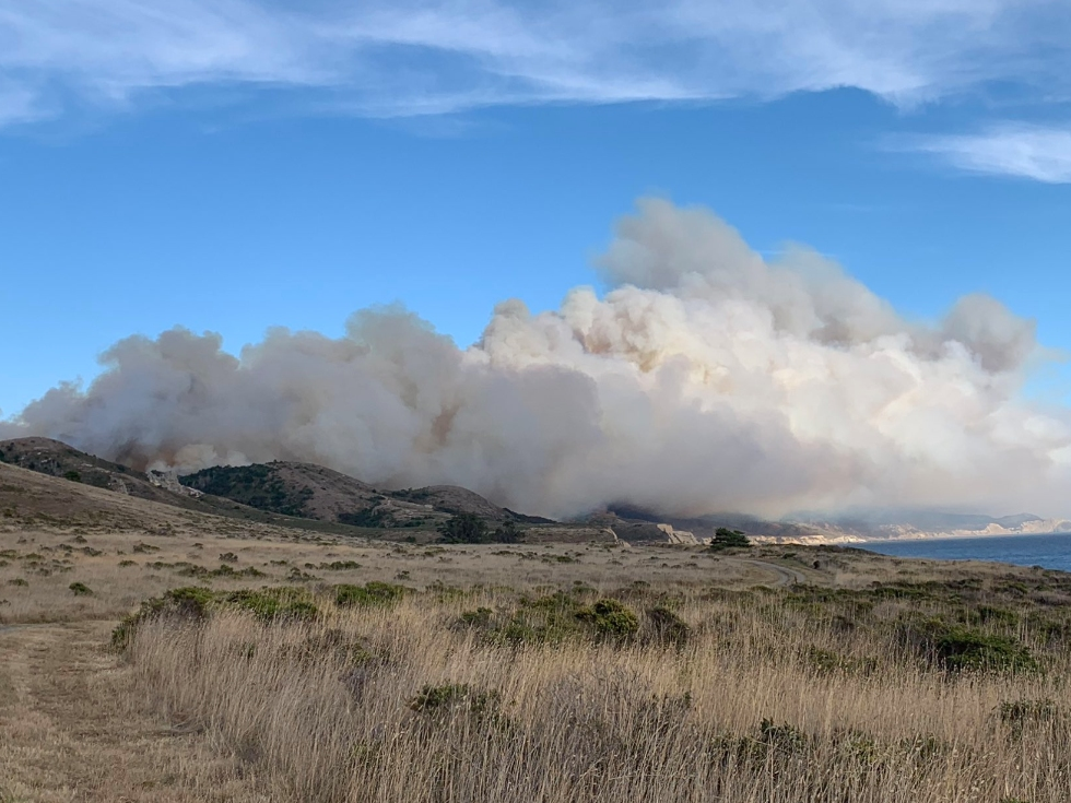 The Woodward Fire sparked just south of the Woodward Trail, a few miles west of the Bear Valley Visitor Center in Olema and about a mile inland from Limantour Beach. 