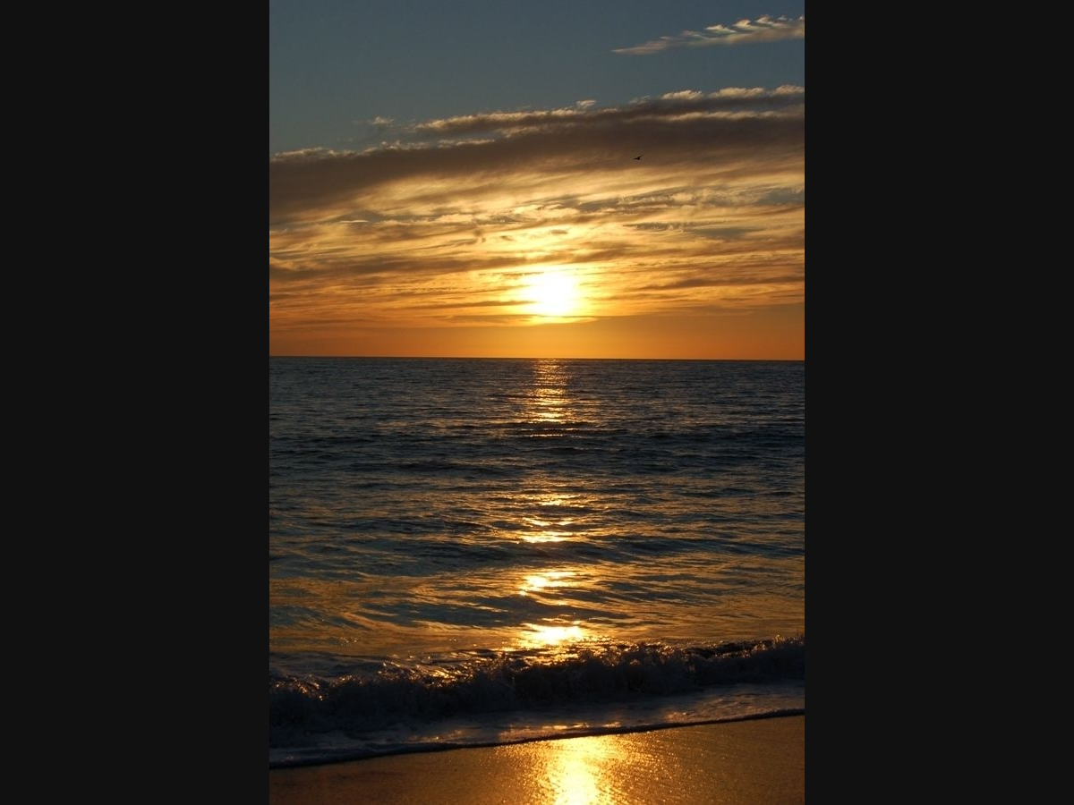 Carlsbad, California 