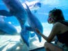 SeaWorld San Diego has been closed for months due to the coronavirus pandemic.