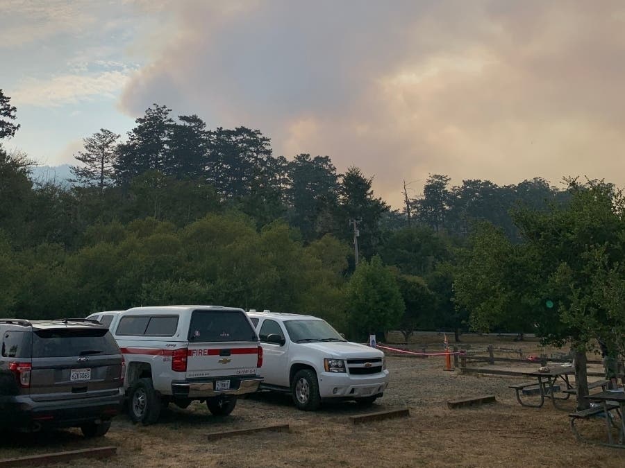 The Woodward Fire sparked​ Aug. 18 just south of the Woodward Trail, a few miles west of the Bear Valley Visitor Center in Olema and about a mile inland from Limantour Beach. 