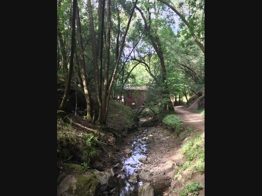 Trail behind Marin Stables in Fairfax, California