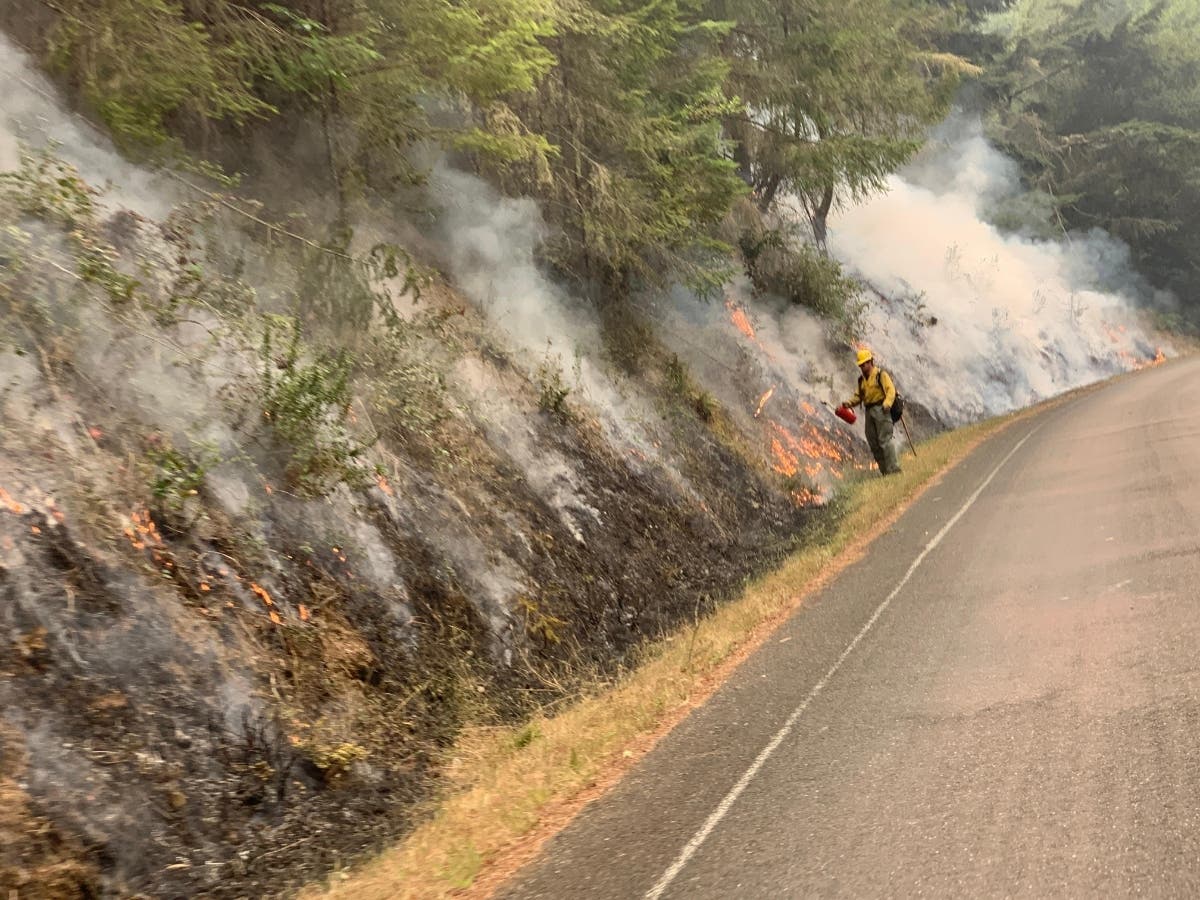 A total of 567​ firefighting personnel were assigned to the fire Tuesday, including 13 fire crews, plus 36 engines, five helicopters, five dozers, five water tenders, four planes and two masticators.