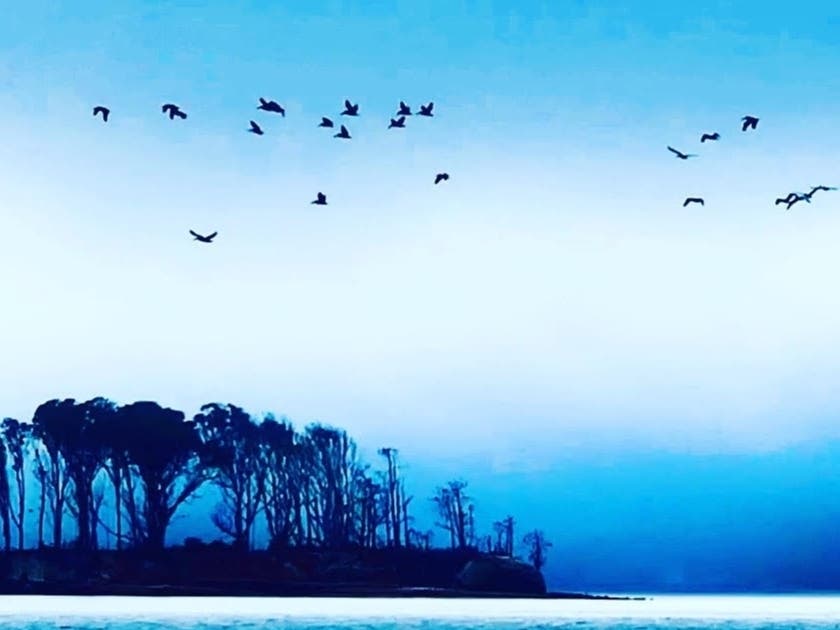 Hog Island in Marin County, California