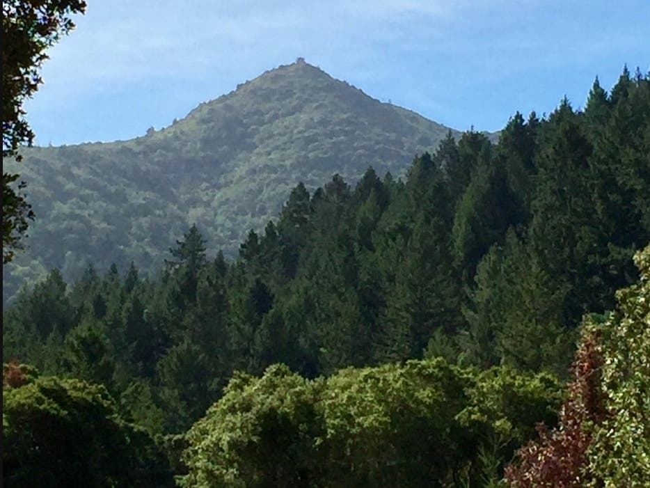 Mount Tamalpais​ in Marin County, California