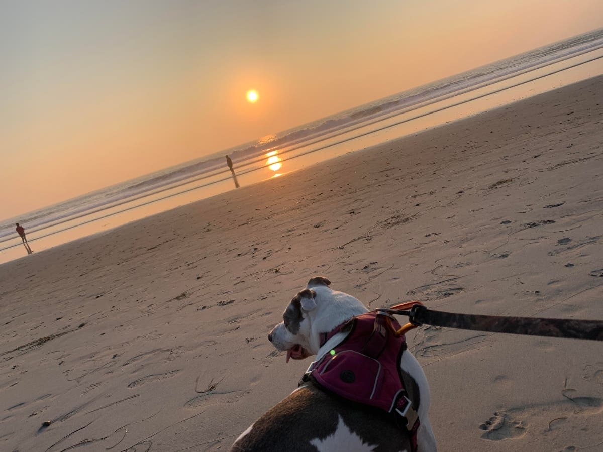 Imperial Beach, California