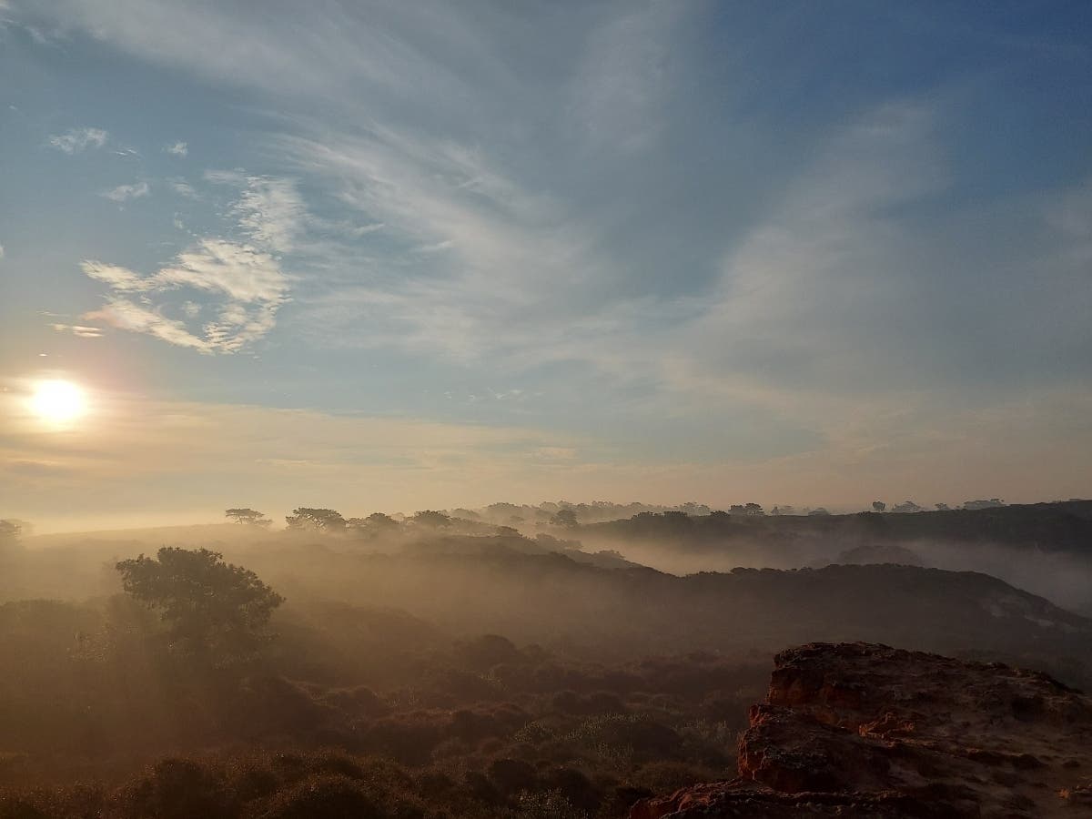 Torrey Pines Beach Trail