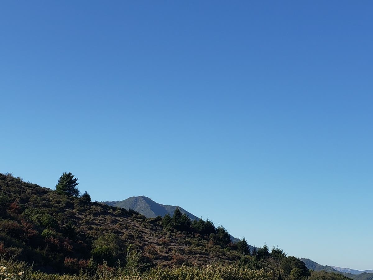 Mount Tamalpais​ in Marin County, California