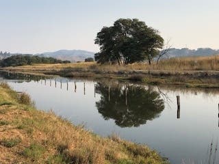 Corte Madera​ in Marin County, California 