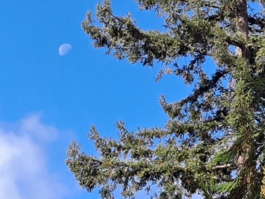 Moon above downtown Fairfax, California