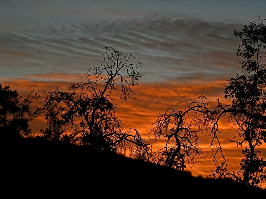 Sunrise in Ramona, California 