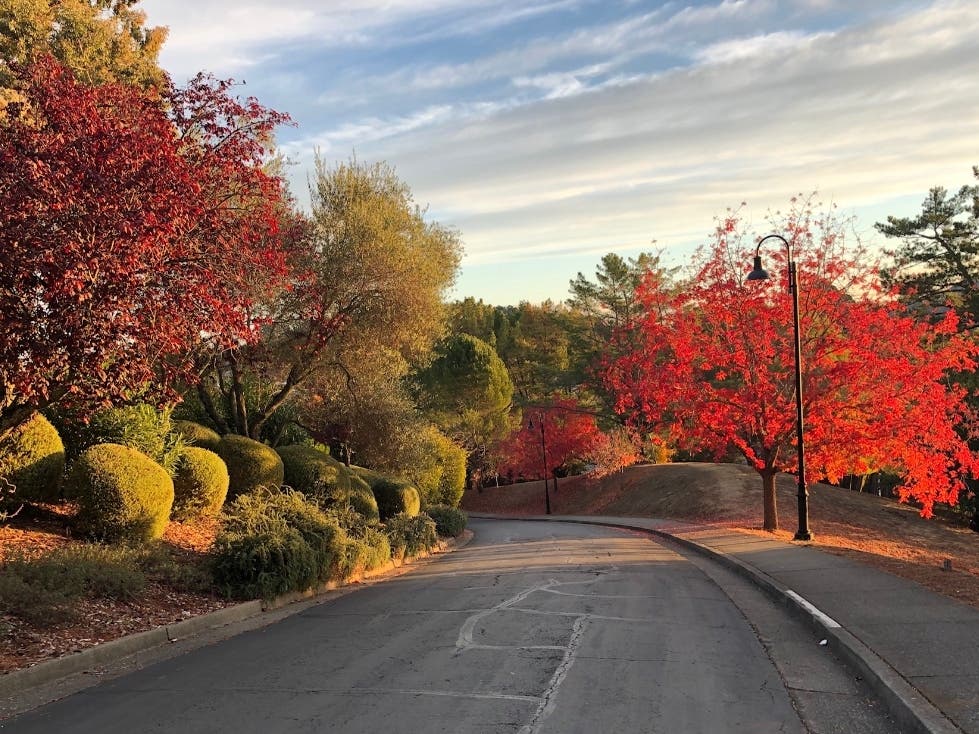 El Faisan Drive in the Terra Linda neighborhood of San Rafael, California