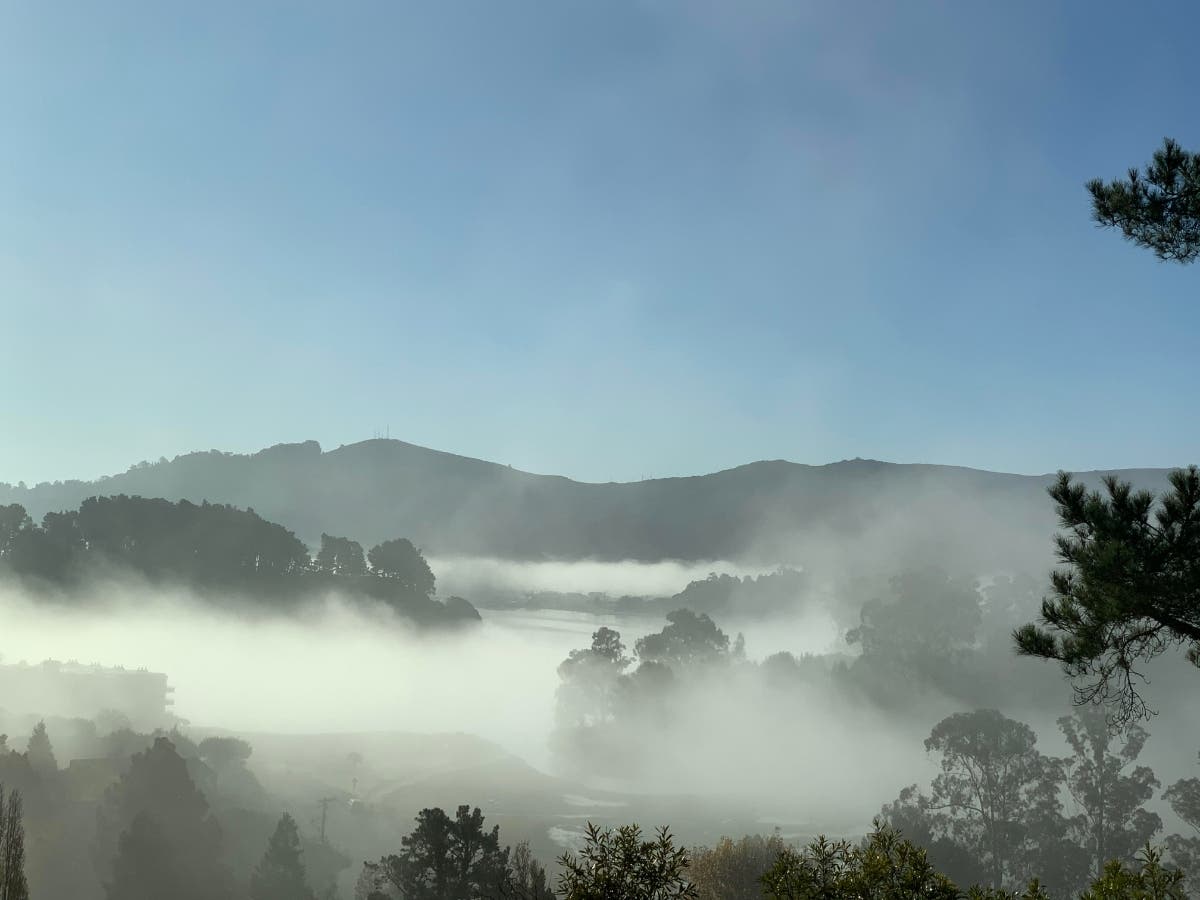 Fog over Richardson Bay