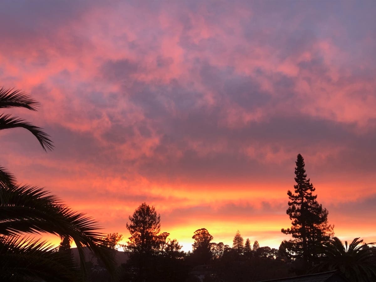 Sunset in Mill Valley, California