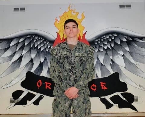 USS Theodore Roosevelt Sailor Who Went Overboard Identified - Vimarsana News