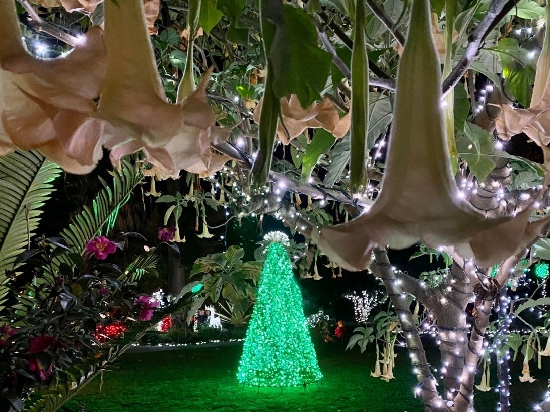 San Diego Botanic Garden in Encinitas, California 