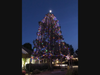 Christmas tree in Novato, California 