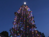 Christmas tree in Novato, California 