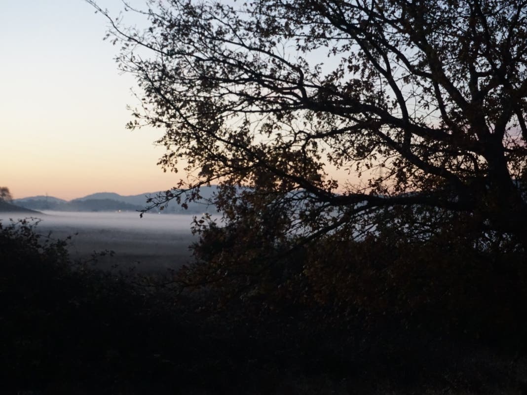 Deer Island Preserve in Marin County, California 