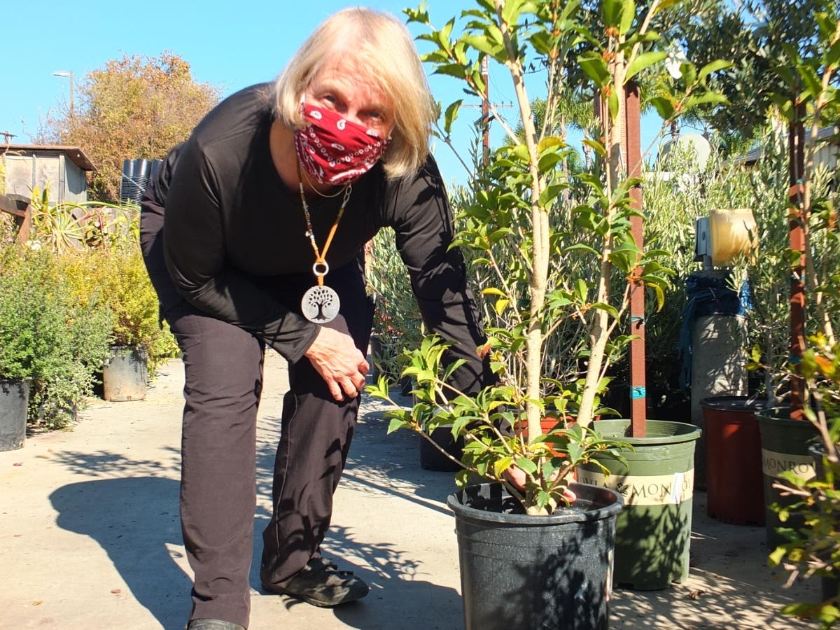 Dr. Anne Fege is the co-founder of Kate Sessions Commitment.
