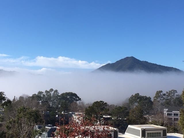 Mount Tamalpais in Marin County, California 