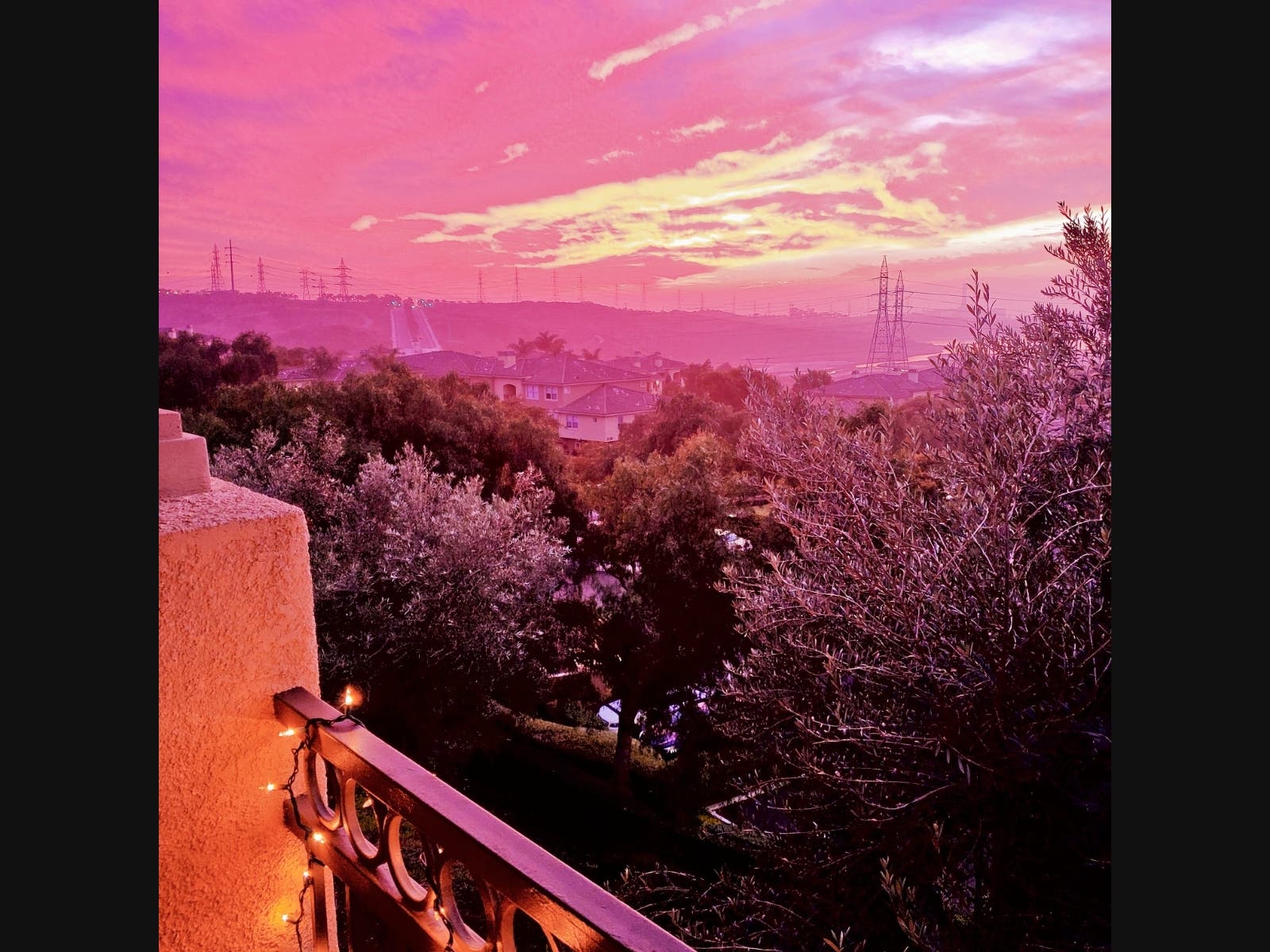 Agua Hedionda Lagoon: Photos Of The Day | Carlsbad, CA Patch
