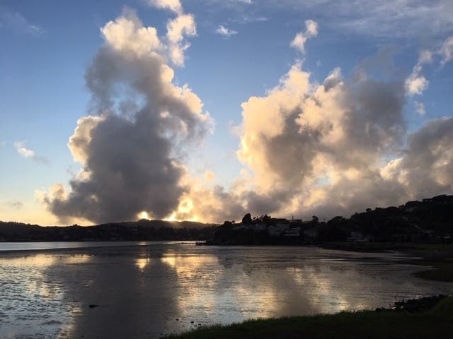 Blackie's Pasture​ in Tiburon​, California 