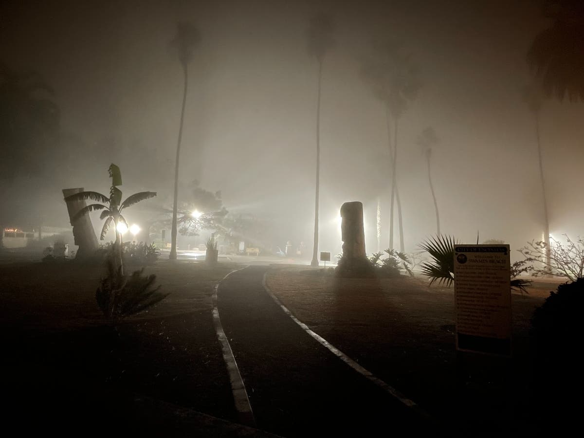 Swami's Beach​ in Encinitas, California 